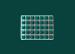 Switch Jade Predant